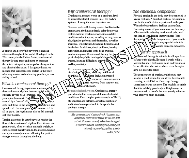Sample inside of Craniosacral brochure.